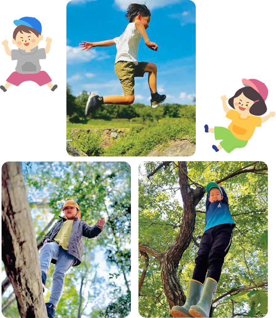 どすこい画像