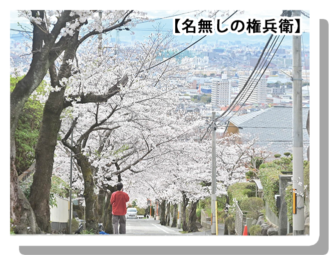 フォトコンテスト画像
