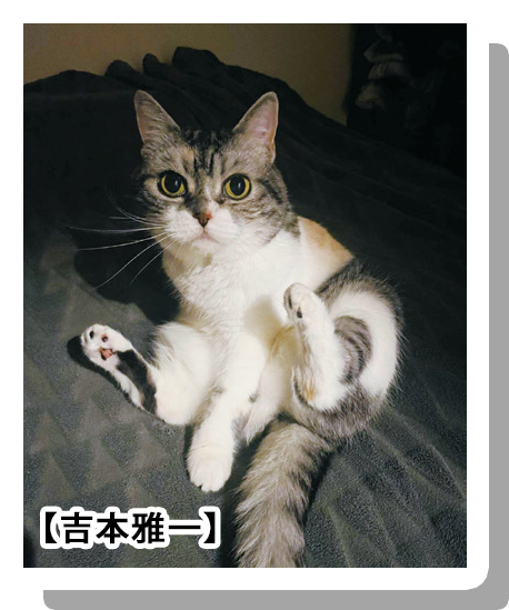 フォトコンテスト画像