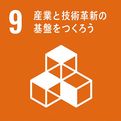 SDGs9