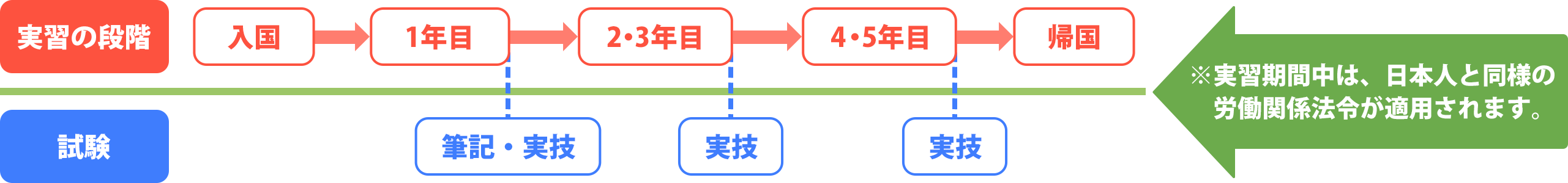 実習の流れ