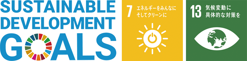 SUSTAINABLE DEVELOPMENT GOALS