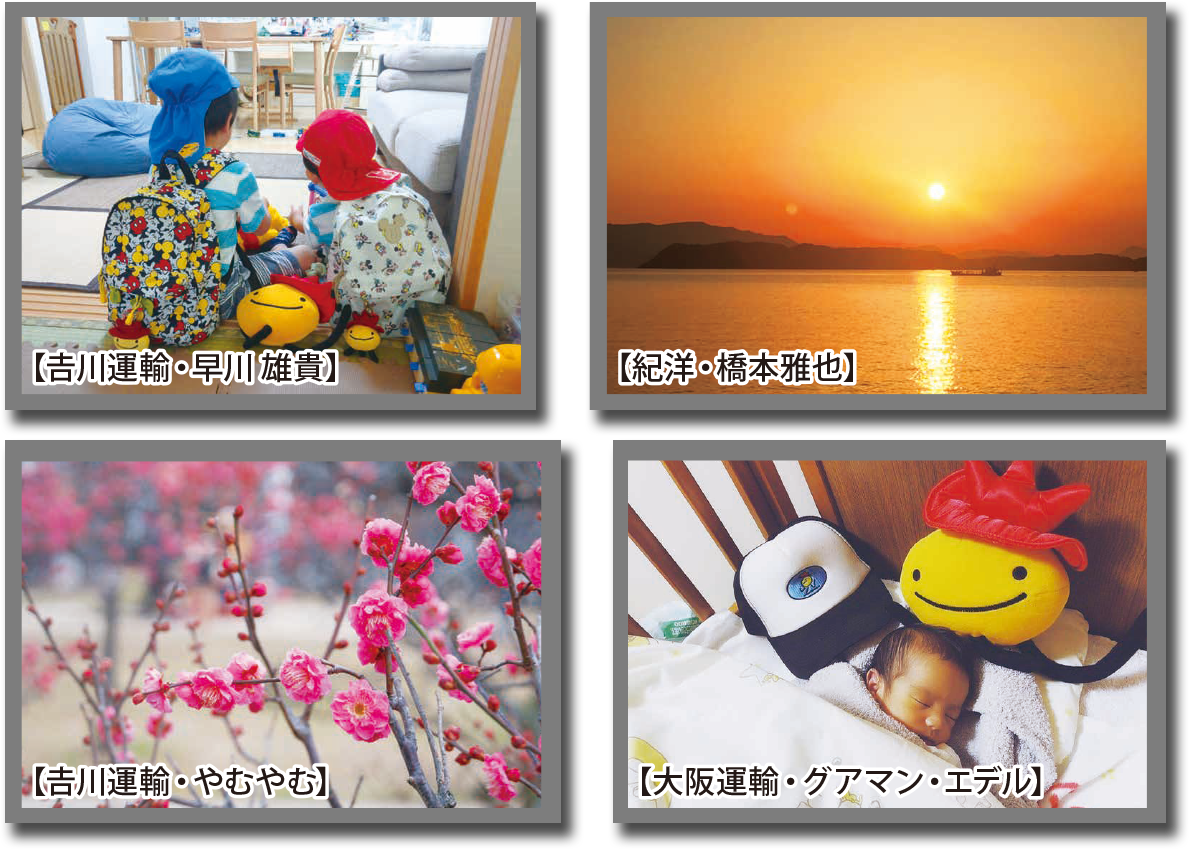フォトコンテスト