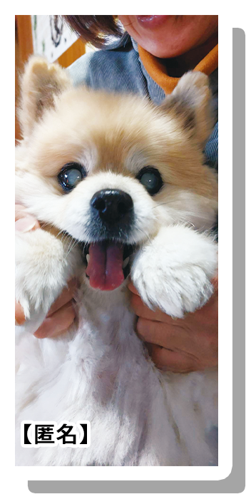 フォトコンテスト画像